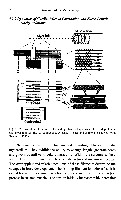 John K-J Li - Dynamics of the Vascular System, page 91